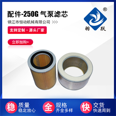 250G氣泵濾芯
